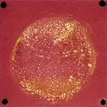 So sánh tính chất vật lý của quy trình thiêu kết mới và truyền thống